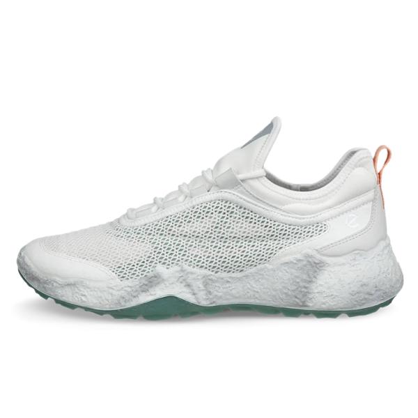 ECCO_W_BIOM_HYBRID_5