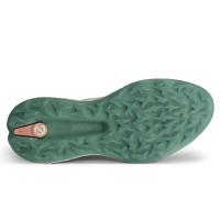ECCO_W_BIOM_HYBRID_5_1