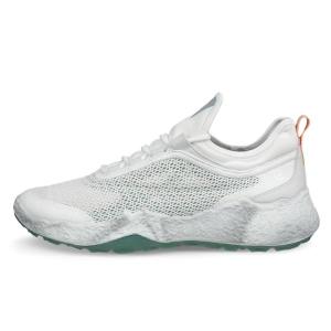 ECCO_W_BIOM_HYBRID_5